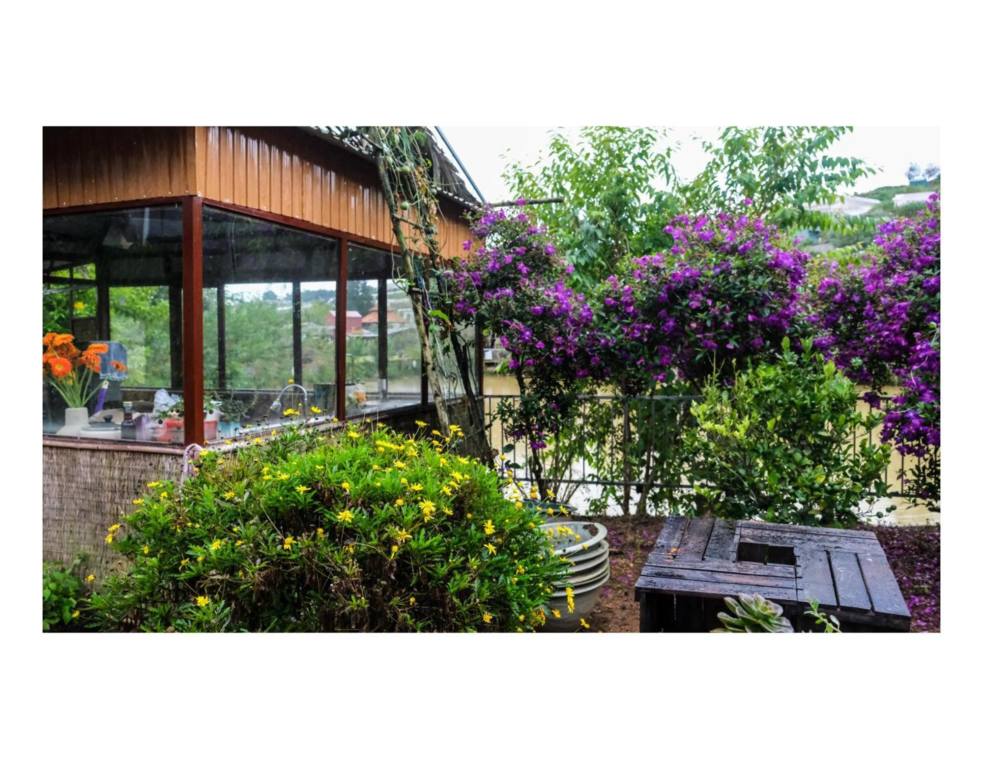 Nha Ben Ho - Da Lat Homestay Exteriér fotografie