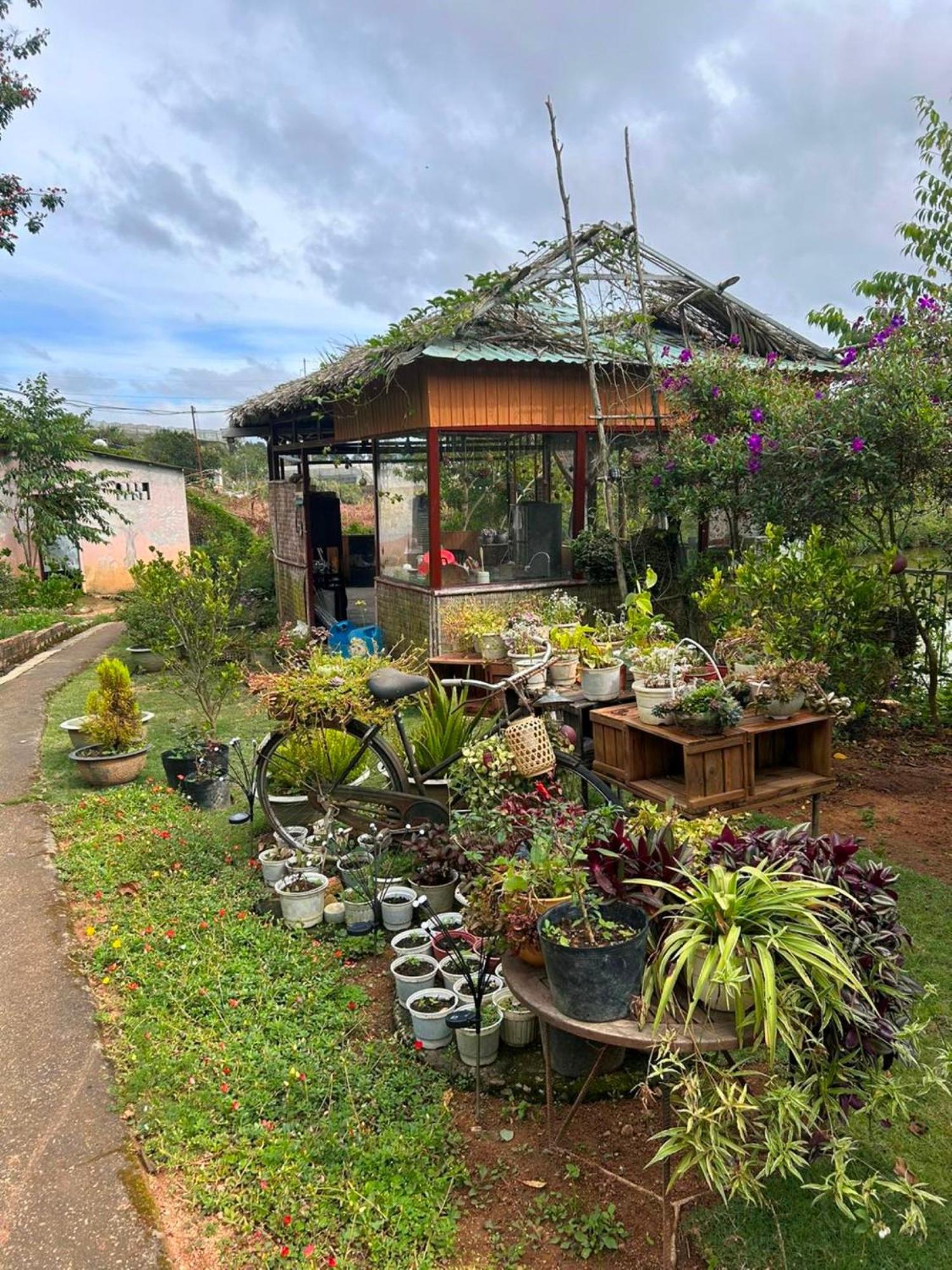 Nha Ben Ho - Da Lat Homestay Exteriér fotografie