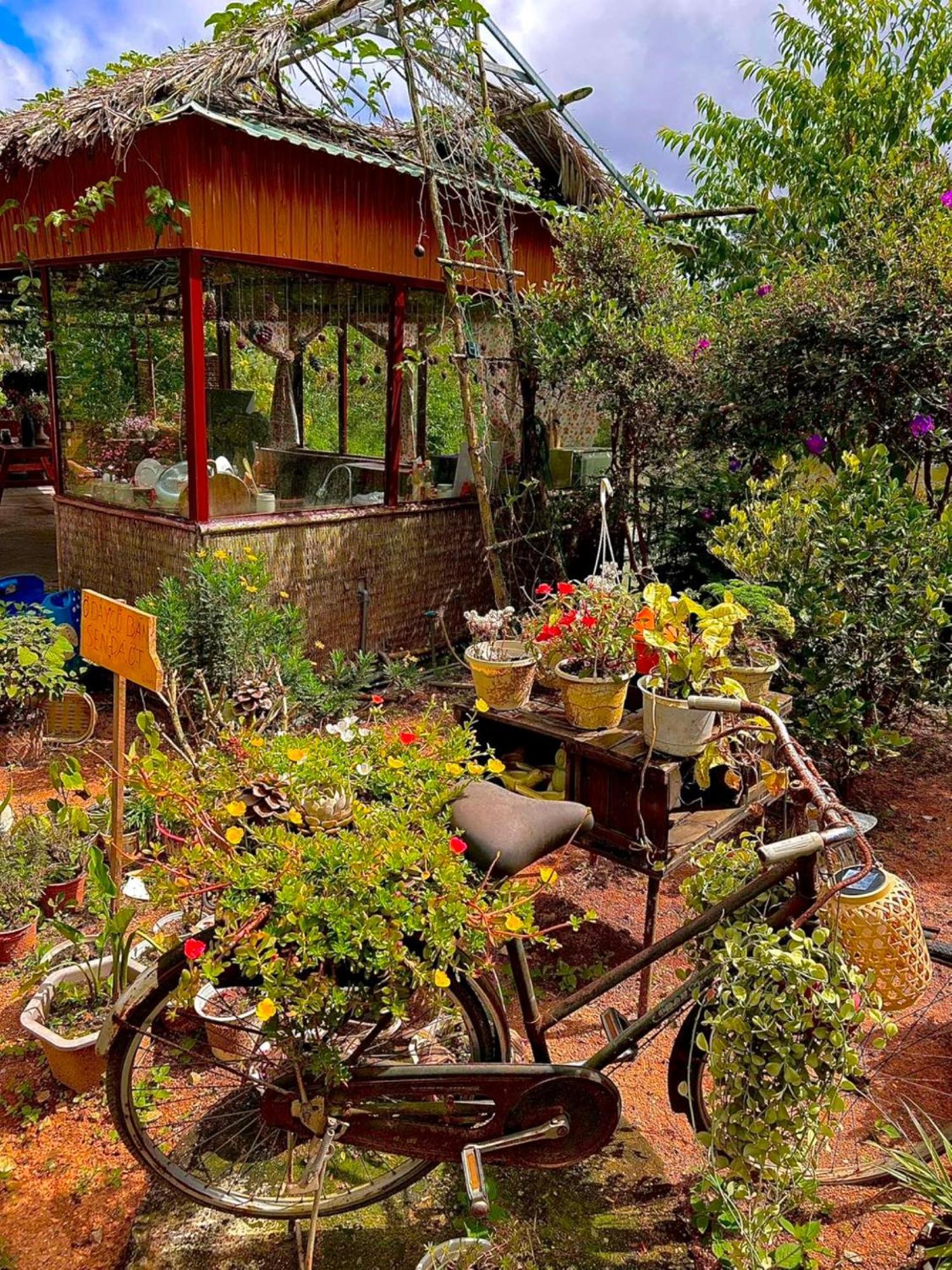Nha Ben Ho - Da Lat Homestay Exteriér fotografie