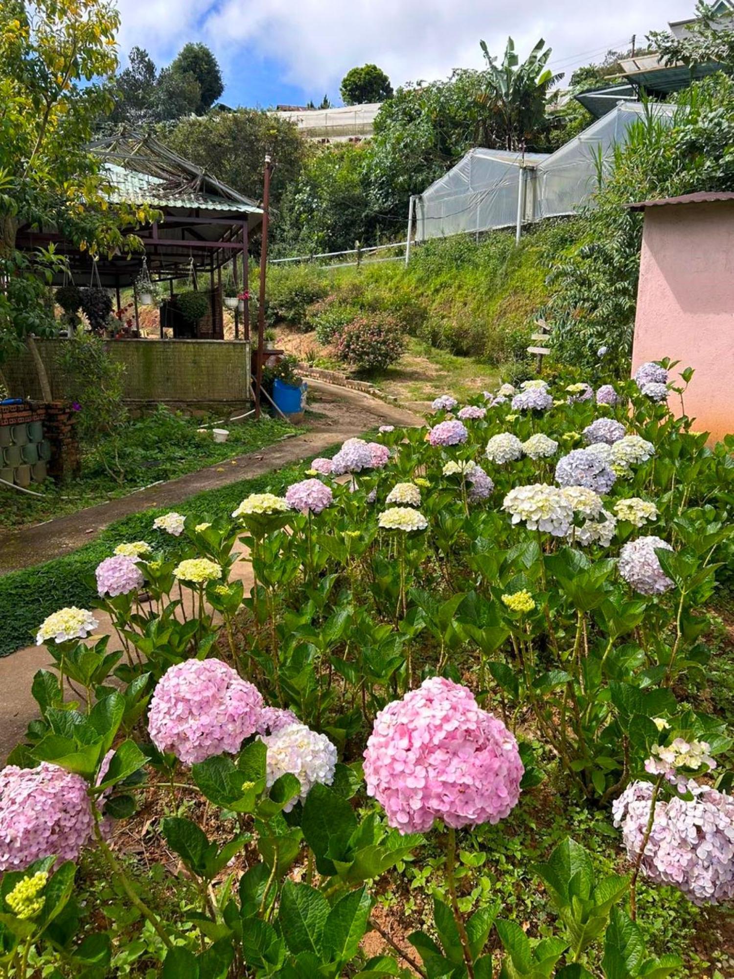 Nha Ben Ho - Da Lat Homestay Exteriér fotografie