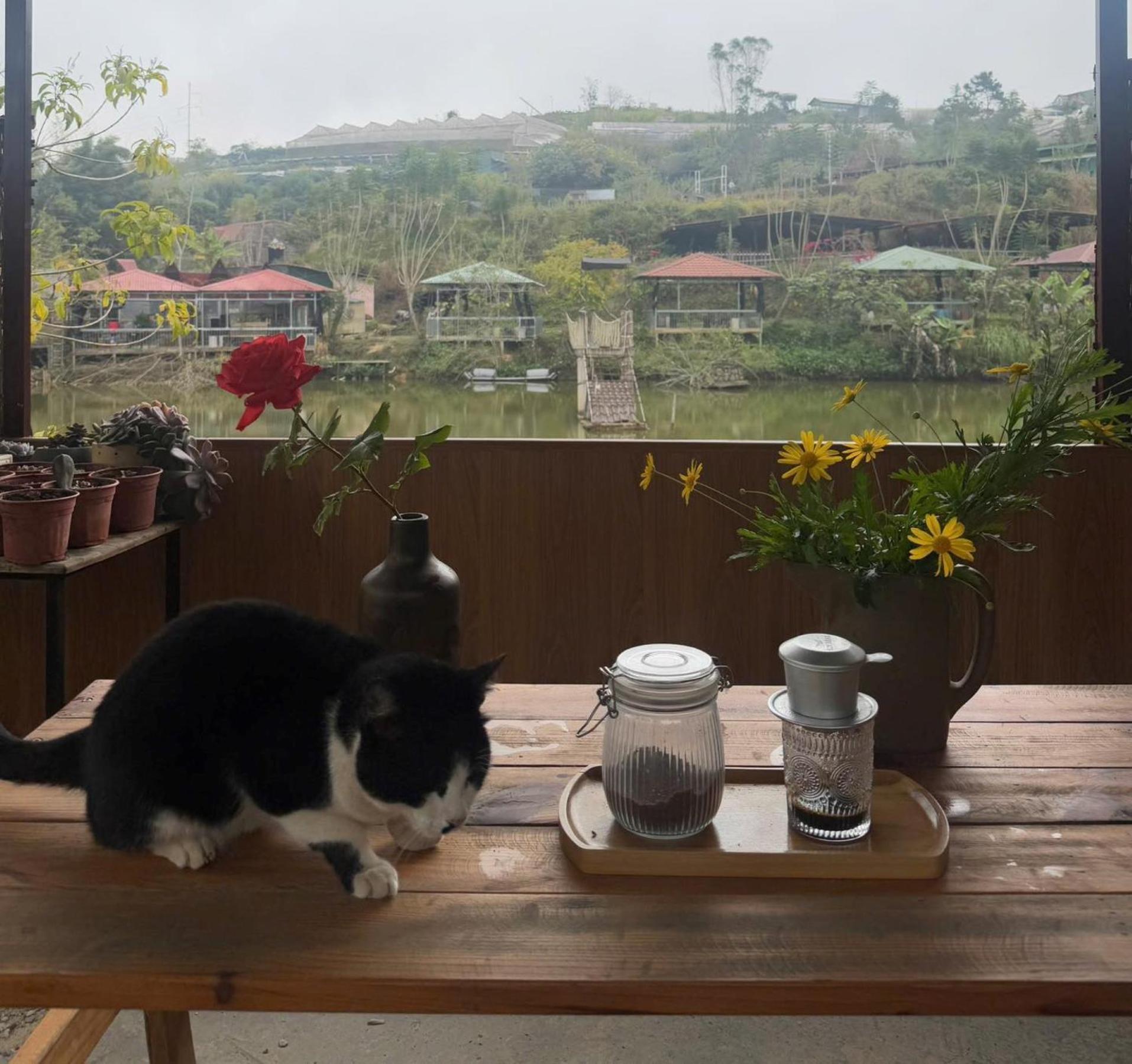 Nha Ben Ho - Da Lat Homestay Exteriér fotografie