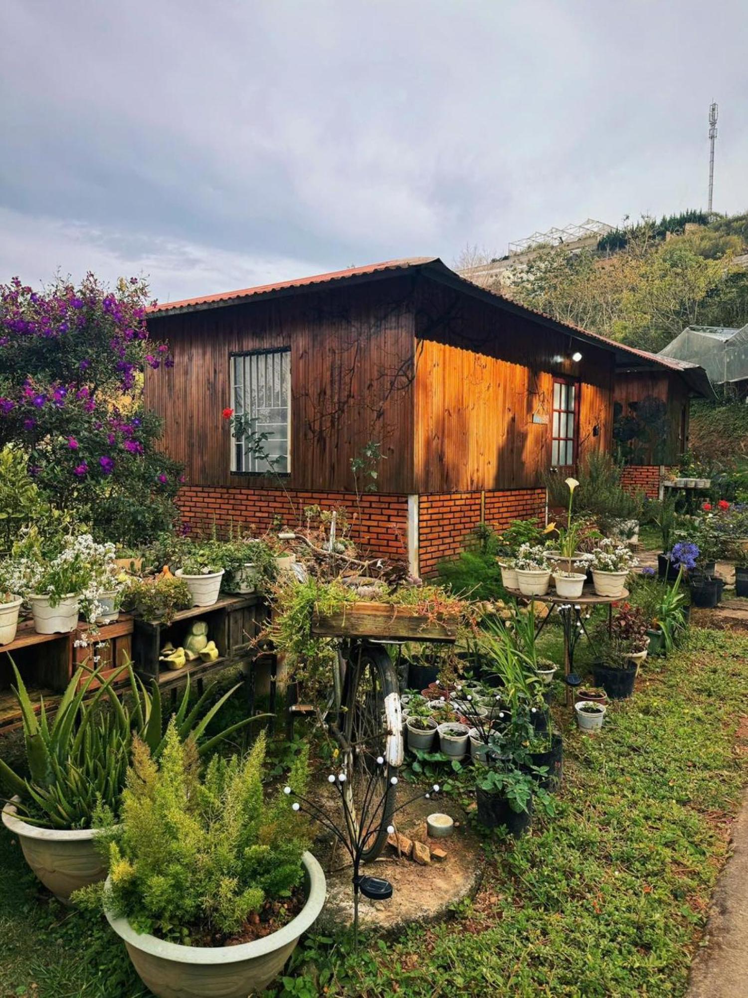 Nha Ben Ho - Da Lat Homestay Exteriér fotografie