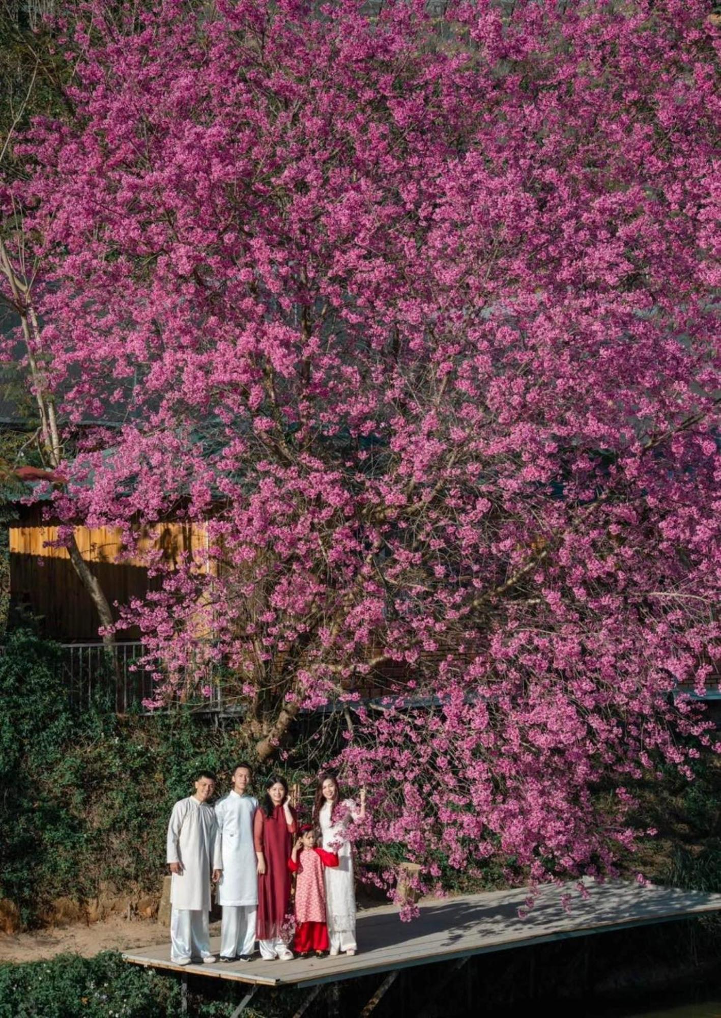 Nha Ben Ho - Da Lat Homestay Exteriér fotografie