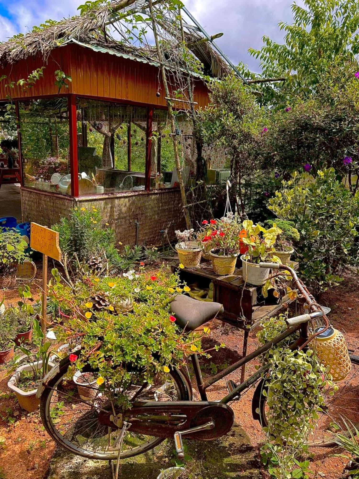 Nha Ben Ho - Da Lat Homestay Exteriér fotografie
